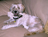 Bailey