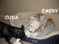 Emery