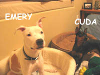 Emery