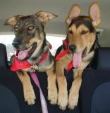 Monroe and Hazel
