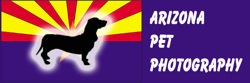 Arizona Pet Photography