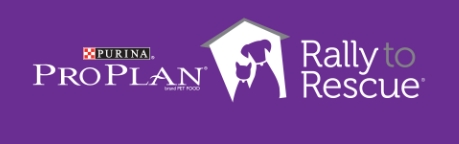 Apach Junction Animal Hospital